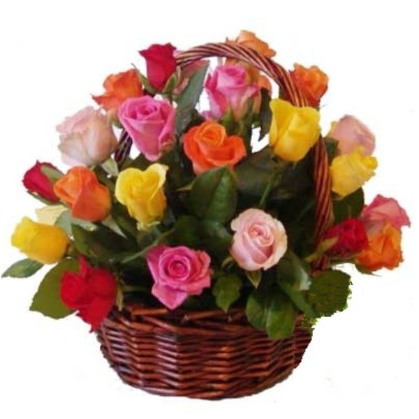 Altura Aproximada 35 cm.