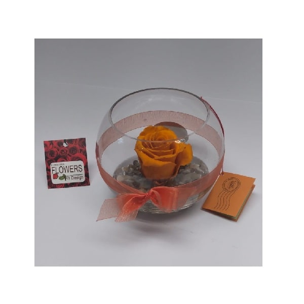 ETERNAANARANJADA-min