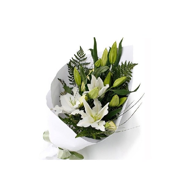 ramoliliumblancos-min